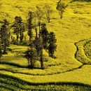 昆明旅游 缩略图 6