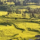 昆明旅游 缩略图 3