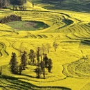 昆明旅游 缩略图 5
