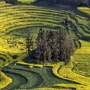 昆明旅游 缩略图 7