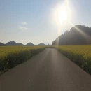 昆明旅游 缩略图 1