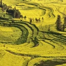 昆明旅游 缩略图 4