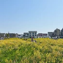 上海旅游 缩略图 8