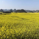 昆明旅游 缩略图 8