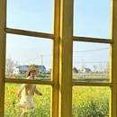 上海旅游 缩略图 12
