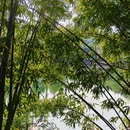 昭通旅游 缩略图 4