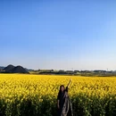 昆明旅游 缩略图 4