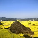 昆明旅游 缩略图 5
