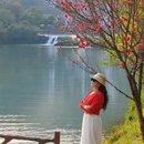 昭通旅游 缩略图 2