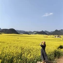 昆明旅游 缩略图 7