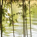 昭通旅游 缩略图 6