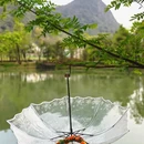 昭通旅游 缩略图 13