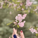 昭通旅游 缩略图 17