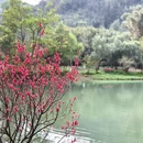 昭通旅游 缩略图 14