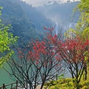 昭通旅游 缩略图 12