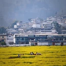 临沧旅游 缩略图 6