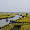 徐州旅游 缩略图 5