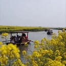 徐州旅游 缩略图 1