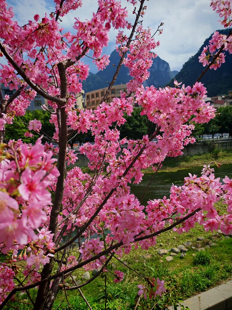 昆明旅游