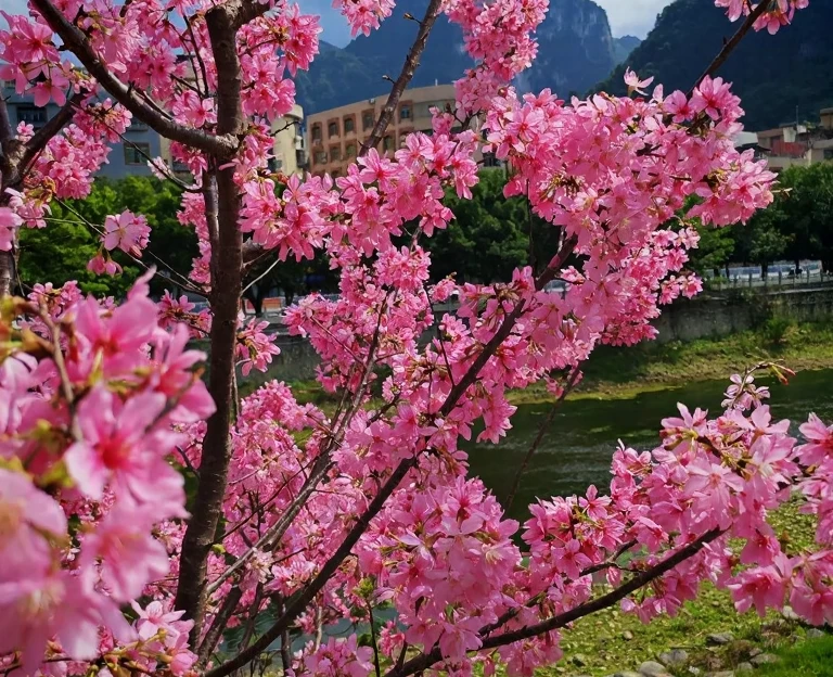 昆明旅游 1