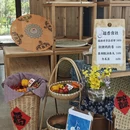 宁波旅游 缩略图 1