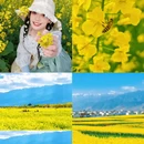 大理州旅游 缩略图 1