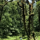 保山旅游 缩略图 1