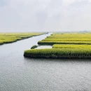 泰州旅游 缩略图 2