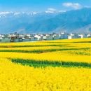 大理州旅游 缩略图 9