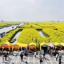 泰州旅游 缩略图 5