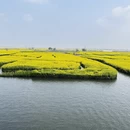 泰州旅游 缩略图 1