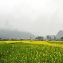黔西南旅游 缩略图 2
