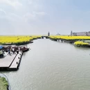 泰州旅游 缩略图 3