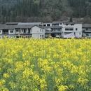 黔西南旅游 缩略图 5
