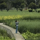 黔西南旅游 缩略图 9