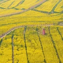 无锡旅游 缩略图 2