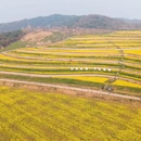无锡旅游 缩略图 5