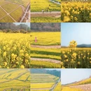 无锡旅游 缩略图 1