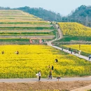 无锡旅游 缩略图 3