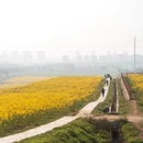 无锡旅游 缩略图 9