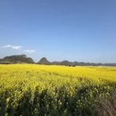 昭通旅游 缩略图 4