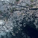 无锡旅游 缩略图 8