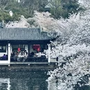 无锡旅游 缩略图 7