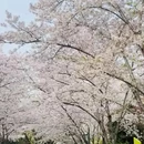 无锡旅游 缩略图 11