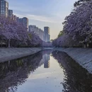 北京旅游 缩略图 1
