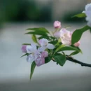 北京旅游 缩略图 5