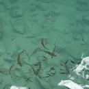 黔南旅游 缩略图 6