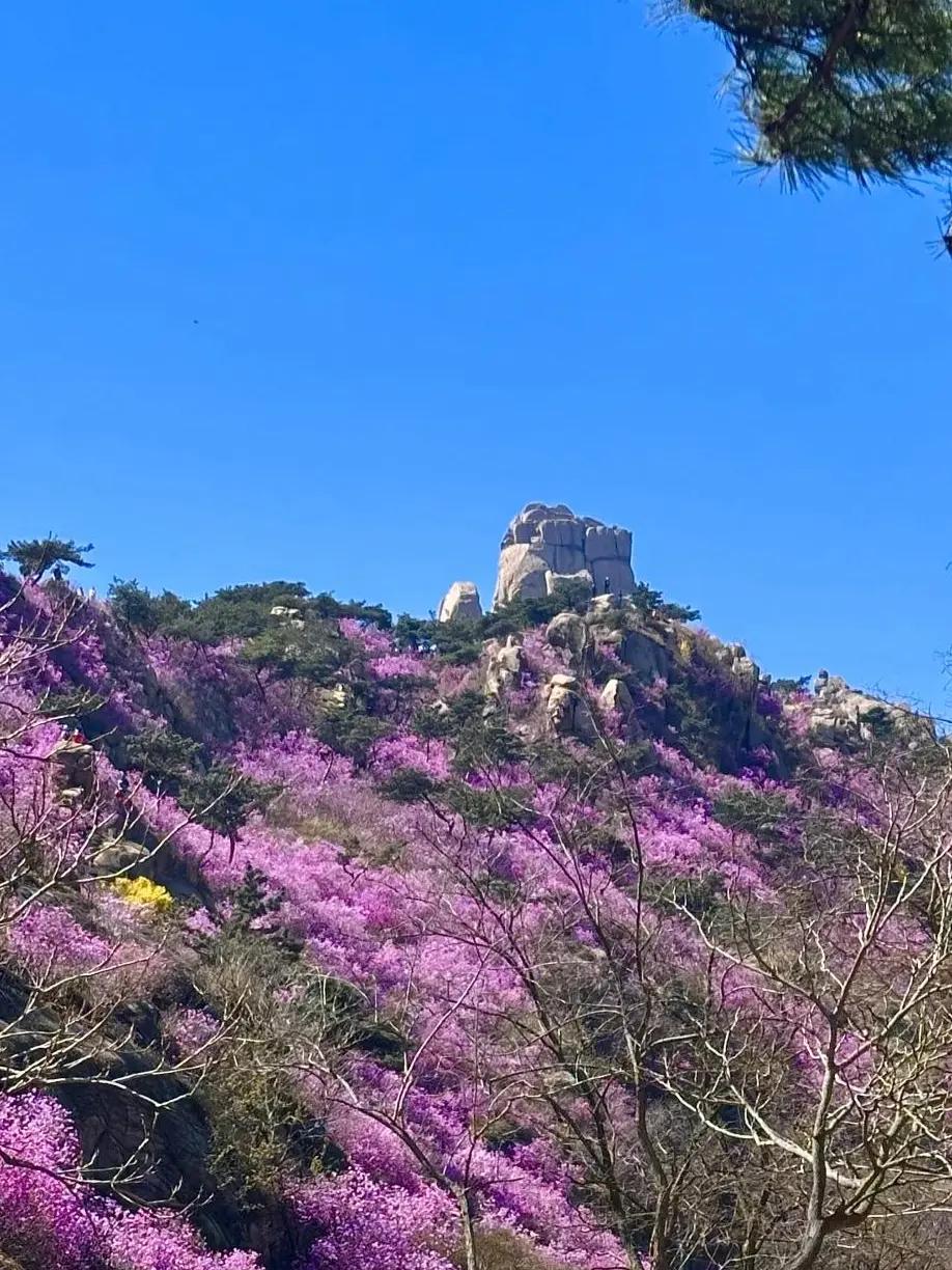 青岛旅游