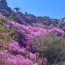 青岛旅游 缩略图 2