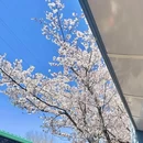 青岛旅游 缩略图 6
